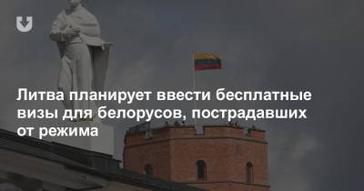 Литва планирует ввести бесплатные визы для белорусов, пострадавших от режима - news.tut.by - Белоруссия - Литва - Визы