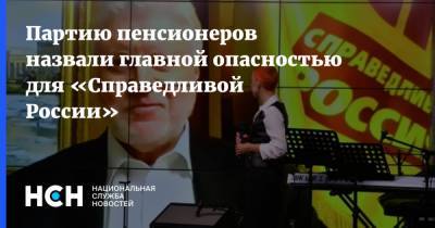 Евгений Минченко - Партию пенсионеров назвали главной опасностью для «Справедливой России» - nsn.fm - Россия