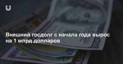 Внешний госдолг с начала года вырос на 1 млрд долларов - news.tut.by - Россия - Китай - Белоруссия