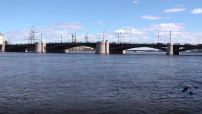 Сезон разводки мостов в Петербурге завершился 30 ноября - piter.tv - Санкт-Петербург - территория Мостотрест