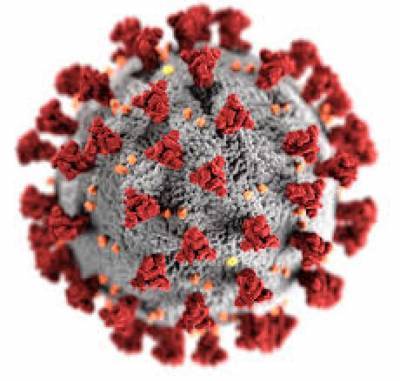 Биолог рассказала о странном последствии коронавируса - lenta.ua - Россия - США