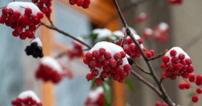 Первый день зимы будет холодным и местами снежным: прогноз погоды в Украине на вторник, 1 декабря - tsn.ua - Украина