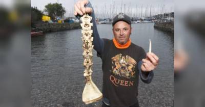 Британец нашел на пляже «скелет русалки» — бывалые рыбаки такого еще не видели - fakty.ua - Украина - Англия - Плимут
