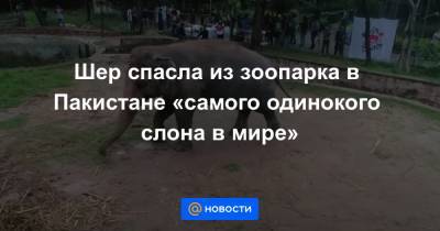 Шер спасла из зоопарка в Пакистане «самого одинокого слона в мире» - news.mail.ru - Пакистан - Исламабад