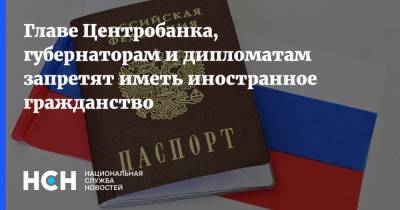 Владимир Путин - Андрей Клишаса - Главе Центробанка, губернаторам и дипломатам запретят иметь иностранное гражданство - nsn.fm - Россия - Гражданство