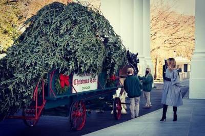 Дональд Трамп - Мелания Трамп - Джо Байден - Мелания Трамп в последний раз украсила Белый Дом перед Рождеством в качестве первой леди Америки - skuke.net - Вашингтон - Колумбия - Ирак