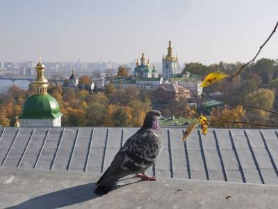 Киев попал в двадцатку мегаполисов с самым грязным воздухом - gordonua.com - Украина - Киев - Казахстан - Малайзия - Куала-Лумпур