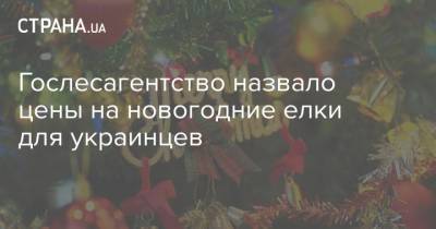 Гослесагентство назвало цены на новогодние елки для украинцев - strana.ua - Украина - Киев - Луганская обл. - Херсон - Харьков - Ивано-Франковск - Полтава