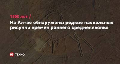 1500 лет. На Алтае обнаружили редкие наскальные рисунки времен раннего средневековья - nv.ua - Россия - Киргизия - респ. Алтай - Горно-Алтайск