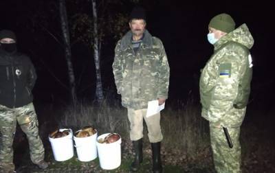 Пограничники изъяли 40 кг чернобыльских грибов - korrespondent.net - Украина