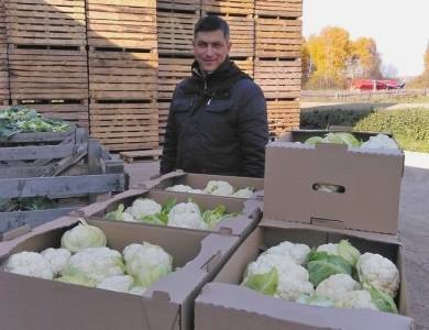 Кандидат технических наук, бывший доцент Алмаз Хавыев развил фермерское хозяйство и реорганизовал местный колхоз - iskra-kungur.ru