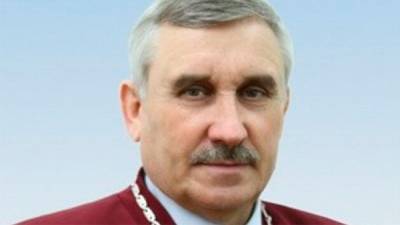 КС планирует признать неконституционной земельную реформу - СМИ - bin.ua - Украина