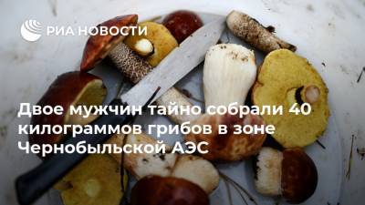 Двое мужчин тайно собрали 40 килограммов грибов в зоне Чернобыльской АЭС - ria.ru - Москва - Украина - Белоруссия