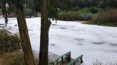 Река Яркон покрылась ядовитой белой пеной после первых осенних ливней - vesty.co.il - Израиль - Тель-Авив - Гуш-Дана
