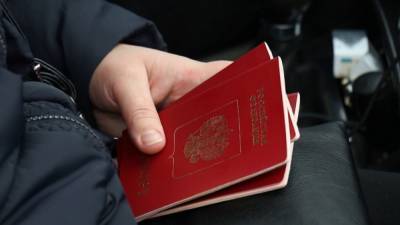 Владимир Зеленский - Владимир Путин - Денис Пушилин - За полтора года 170 тысяч жителей "ДНР" получили гражданство России - svoboda.org - Россия - Украина - ДНР