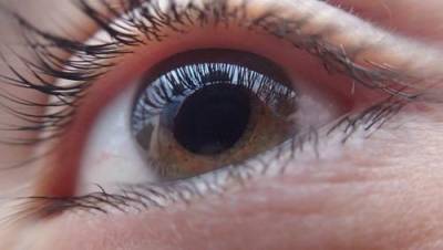 Ученые выяснили, что роговица глаза не пропускает частицы коронавируса в организм - argumenti.ru - Вашингтон