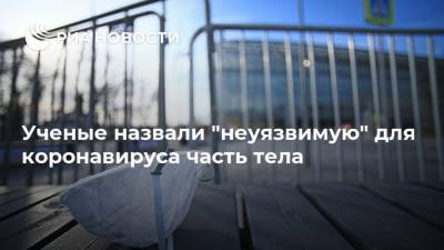 Сергей Нетесов - Ученые назвали "неуязвимую" для коронавируса часть тела - ria.ru - Москва - США - Вашингтон