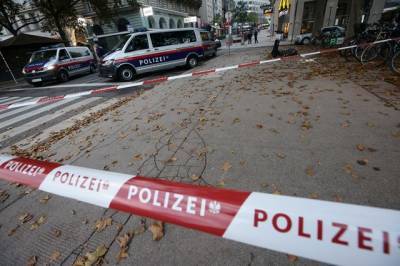 Карл Нехаммер - Следствие считает, что стрелявший в центре Вены террорист действовал один - aif.ru - Австрия