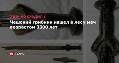 Удачно сходил. Чешский грибник нашел в лесу меч возрастом 3300 лет - nv.ua - Чехия