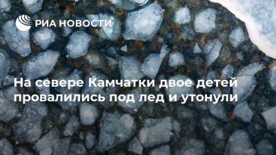 На севере Камчатки двое детей провалились под лед и утонули - ria.ru - Россия - Петропавловск-Камчатский
