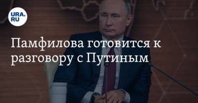 Владимир Путин - Элла Памфилова - Памфилова готовится к разговору с Путиным - ura.news - Россия