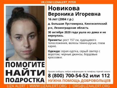В Кингисеппском районе без вести пропала 16-летняя девушка - ivbg.ru - Ленобласть