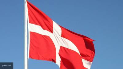 Премьер Дании решила уничтожить всех норок в стране из-за коронавируса - polit.info - Дания - Премьер-Министр