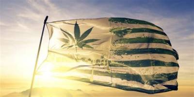 Жители четырех штатов США проголосовали за легализацию марихуаны - newsland.com - США - шт.Нью-Джерси - шт. Аризона - штат Монтана - штат Южная Дакота