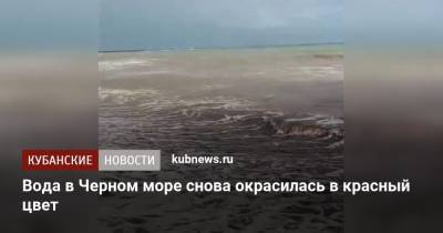 Вода в Черном море снова окрасилась в красный цвет - kubnews.ru - Новороссийск - Черное Море