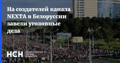 Роман Протасевич - Лукашенко - На создателей канала NEXTA в Белоруссии завели уголовные дела - nsn.fm - Белоруссия - Варшава