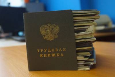Михаил Мишустин - Россияне смогут включить в электронные трудовые книжки записи о стаже - aif.ru - Россия