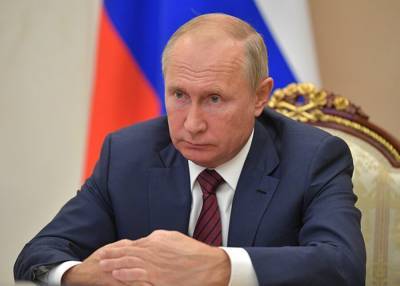 Владимир Путин - Алексей Дюмин - Путину рассказали об онлайн-больнице для заболевших COVID-19 - m24.ru - Россия - Тула - Тульская обл.