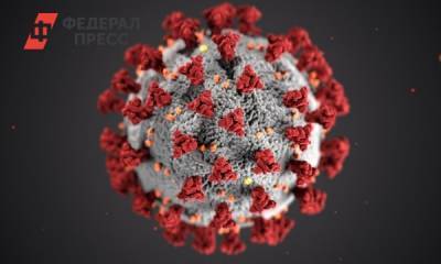 Роман Вильфанд - Гидрометцентр: жара не убивает коронавирус - fedpress.ru - Москва - Россия - Китай - Израиль - Турция