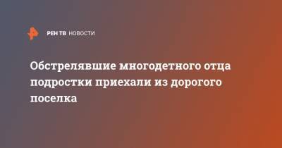 Обстрелявшие многодетного отца подростки приехали из дорогого поселка - ren.tv