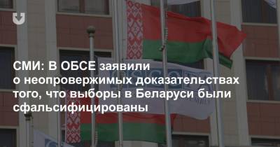 СМИ: В ОБСЕ заявили о неопровержимых доказательствах того, что выборы в Беларуси были сфальсифицированы - news.tut.by - Белоруссия - Вена