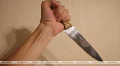 Пинчанина, угрожавшего милиционерам ножом, приговорили к четырем годам колонии - belta.by - Пинск - район Пинский