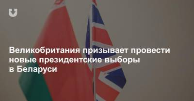 Александр Лукашенко - Доминик Рааб - Великобритания призывает провести новые президентские выборы в Беларуси - news.tut.by - Англия - Белоруссия