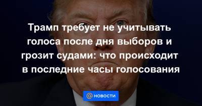 Трамп требует не учитывать голоса после дня выборов и грозит судами: что происходит в последние часы голосования - news.mail.ru - New York - Washington