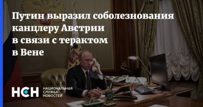 Владимир Путин - Путин выразил соболезнования канцлеру Австрии в связи с терактом в Вене - nsn.fm - Австрия - Россия - Вена
