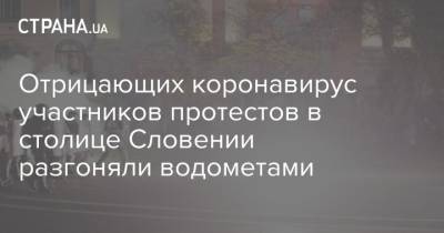 Отрицающих коронавирус участников протестов в столице Словении разгоняли водометами - strana.ua - Словения - Словакия