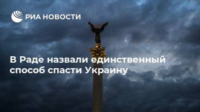 Вадим Рабинович - В Раде назвали единственный способ спасти Украину - ria.ru - Москва - Украина - Киев