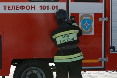 В Смоленской области при пожаре погибли семь человек, в том числе пятеро детей - znak.com - Россия - Смоленская обл. - Ельня