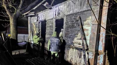 Пять детей погибли при пожаре в доме в Смоленской области - russian.rt.com - Россия - Смоленская обл. - Ельня