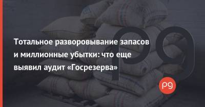 Тотальное разворовывание запасов и миллионные убытки: что еще выявил аудит «Госрезерва» - thepage.ua