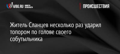 Житель Сланцев несколько раз ударил топором по голове своего собутыльника - ivbg.ru - район Сланцевский