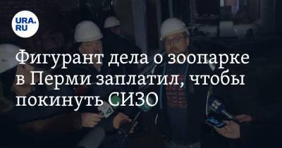 Фигурант дела о зоопарке в Перми заплатил, чтобы покинуть СИЗО - ura.news - Пермь