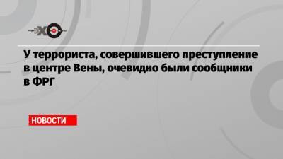 Хорст Зеехофер - У террориста, совершившего преступление в центре Вены, очевидно были сообщники в ФРГ - echo.msk.ru - Германия - Вена