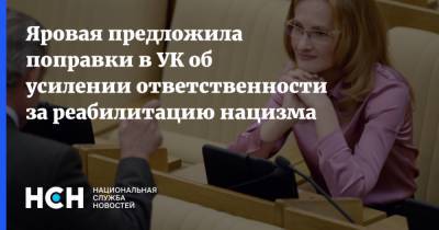 Ирина Яровая - Яровая предложила поправки в УК об усилении ответственности за реабилитацию нацизма - nsn.fm - Россия