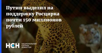 Владимир Путин - Путин выделил на поддержку Росцирка почти 150 миллионов рублей - nsn.fm - Россия