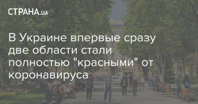 Олег Немчинов - В Украине впервые сразу две области стали полностью "красными" от коронавируса - strana.ua - Украина - Киев - Житомирская обл. - Полтавская обл.